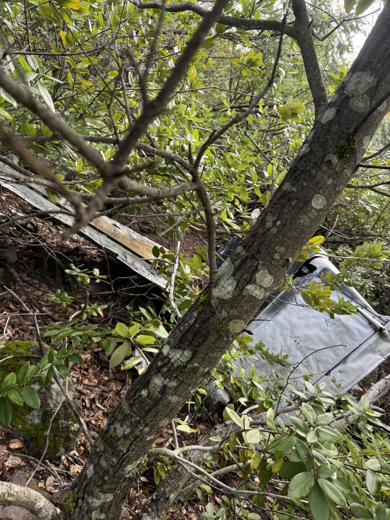 First glimpse of the wing section