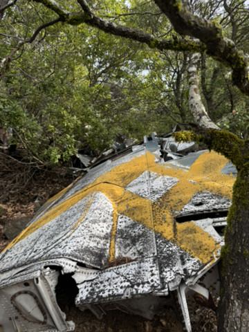 Large wing section of the Skyraider