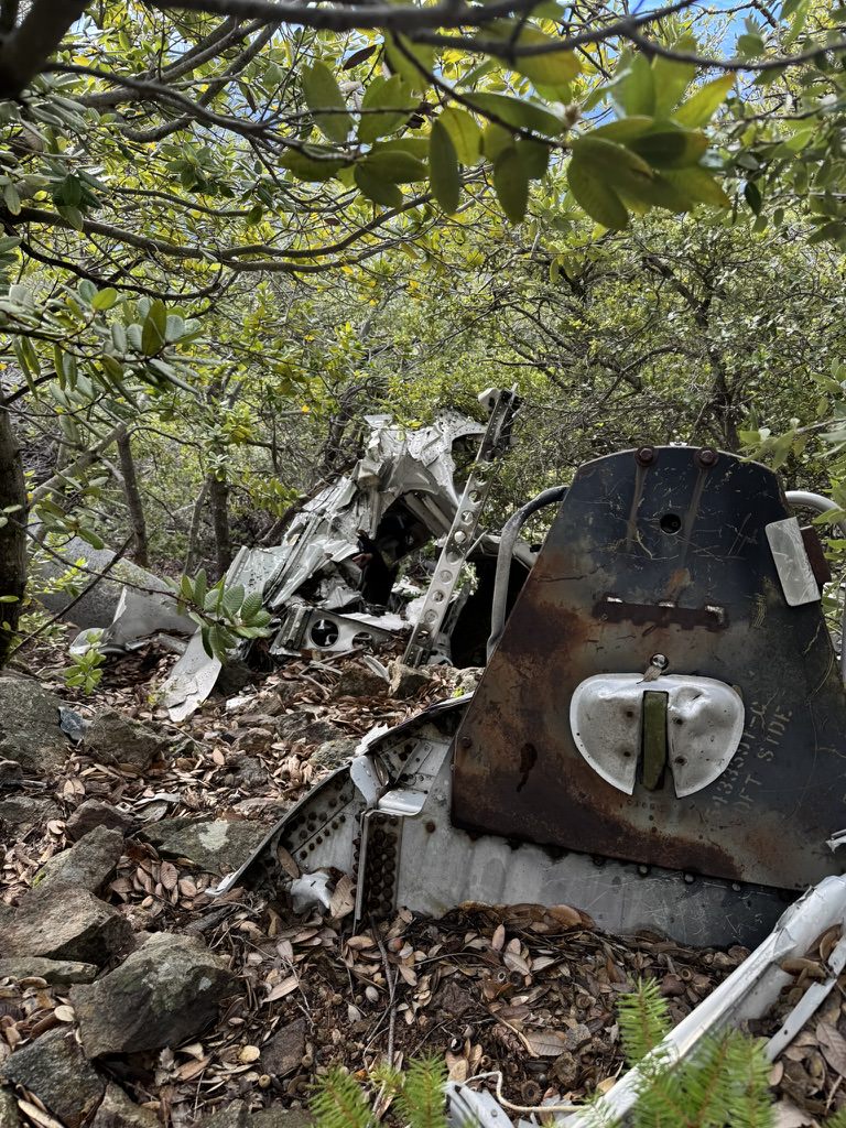 Scattered debris from the crash