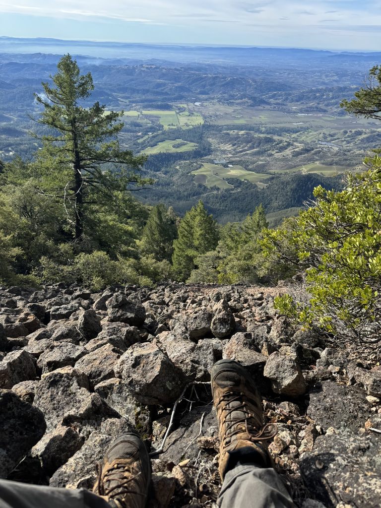 View of the boulder field